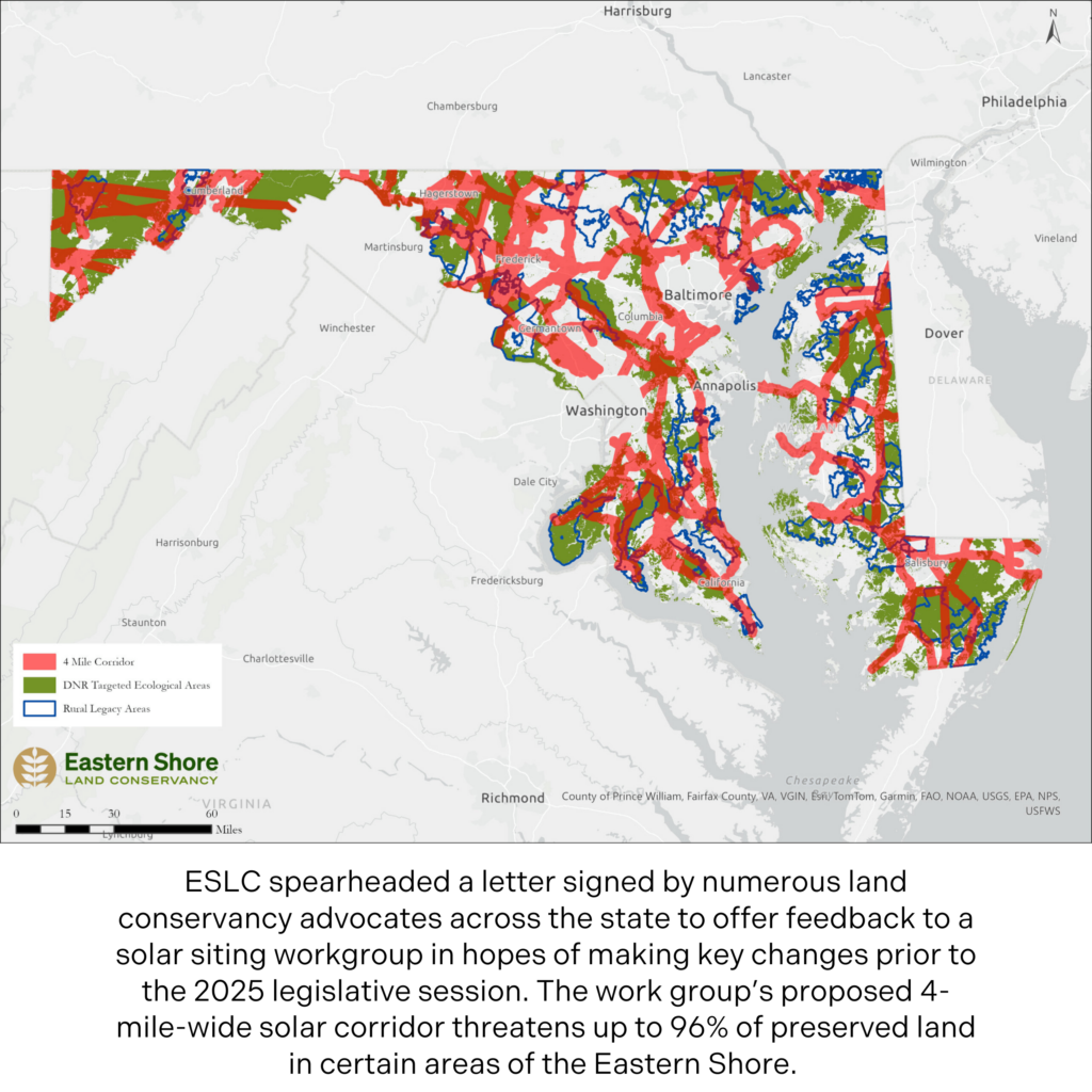 ESLC spearheaded a letter signed by numerous land conservancy advocates across the state to offer feedback to a solar siting workgroup in hopes of making key changes prior to the 2025 legislative session. The work group’s proposed 4-mile-wide solar corridor threatens up to 96% of preserved land in certain areas of the Eastern Shore. 