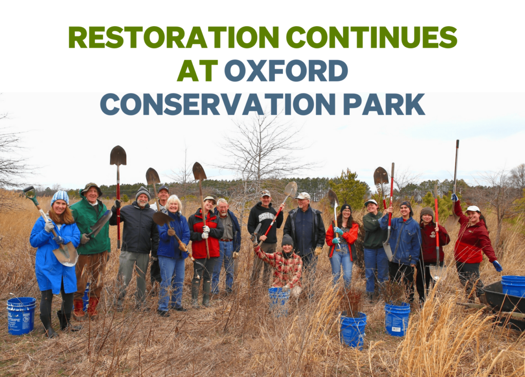 Restoration continues at Oxford Conservation Park