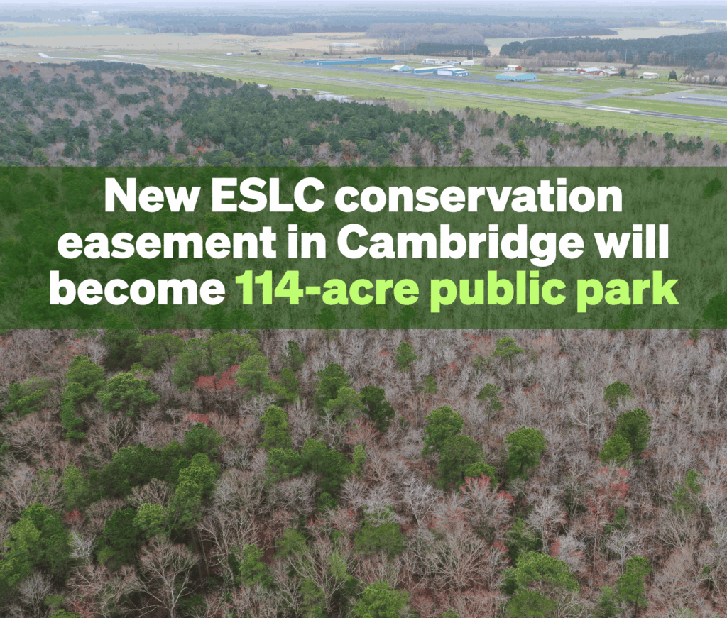 New ESLC conservation easement in Cambridge to become 114-acre public park