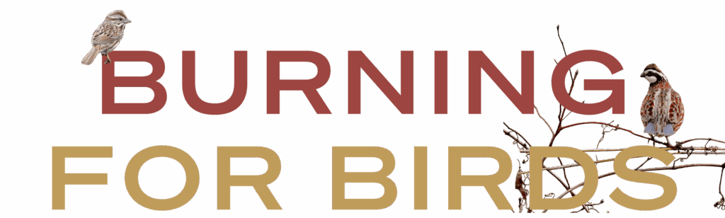 Burning for Birds