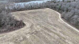 a field bordered by woodlands, next to a creek