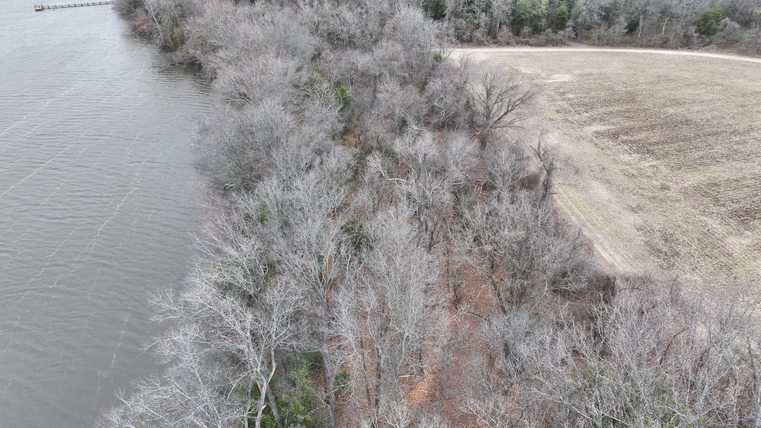 aerial view of a creek bordered on the right by wintry trees and a field