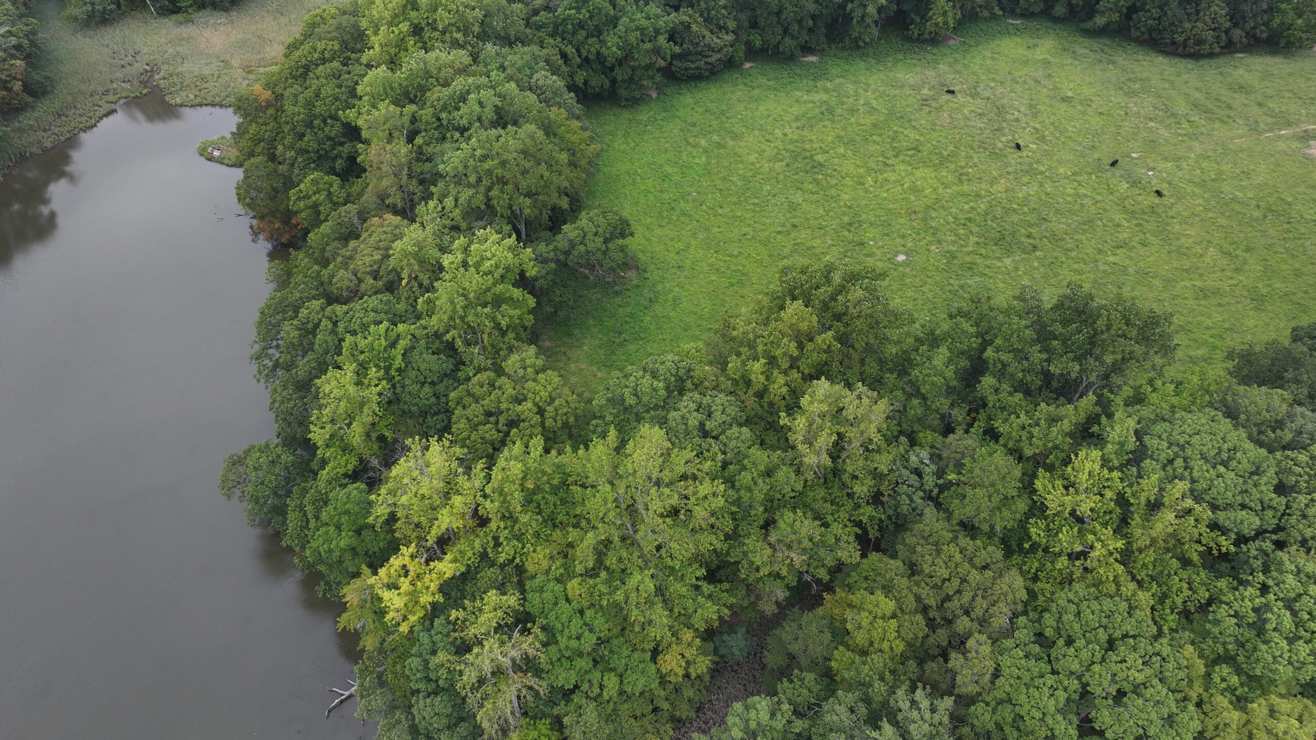 aerial view of a field, woods, and a creek