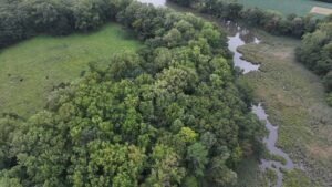 a creek and tidal marsh with trees and a field to one side