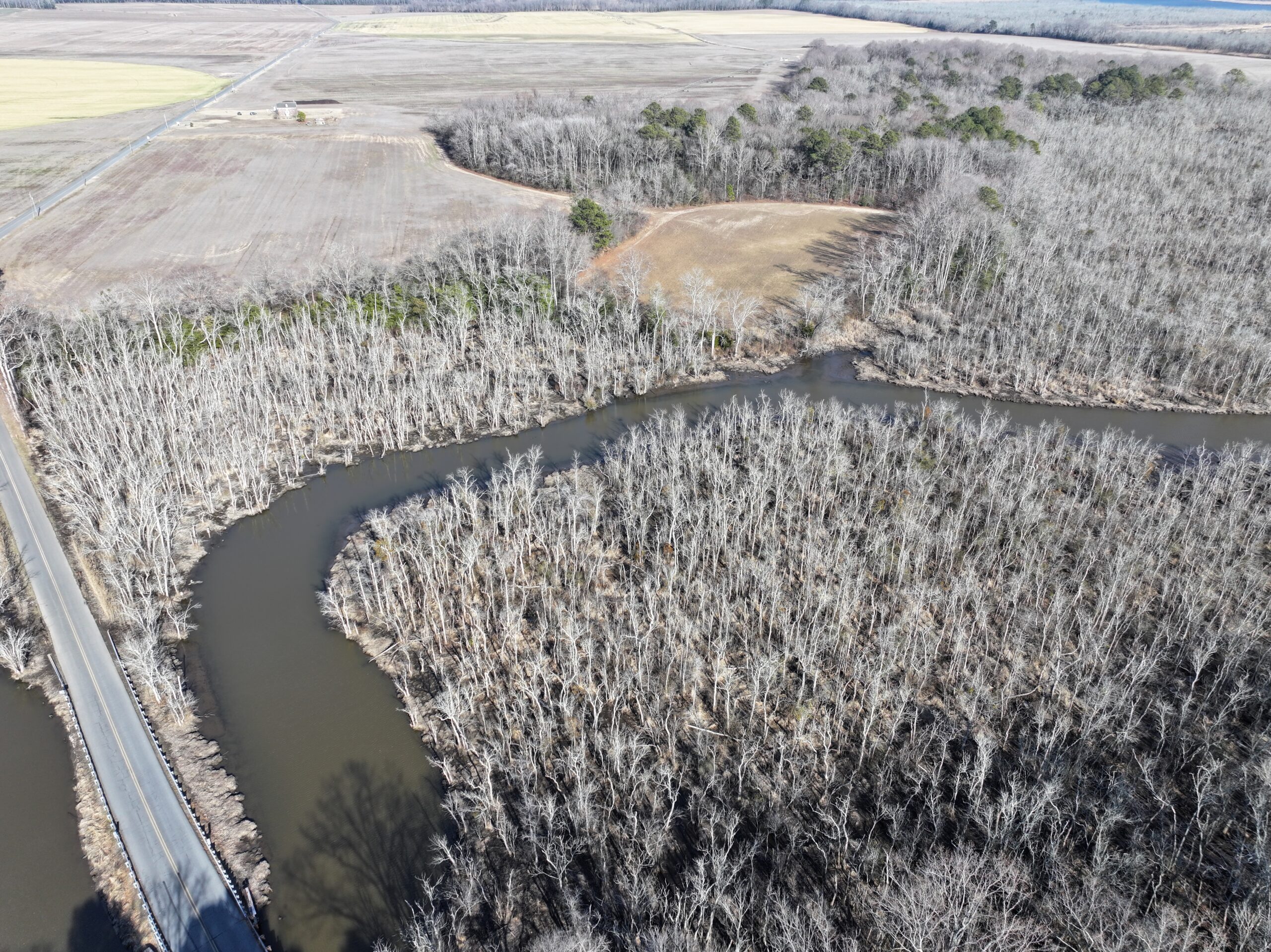 a narrow creek winds through trees with field in the distance