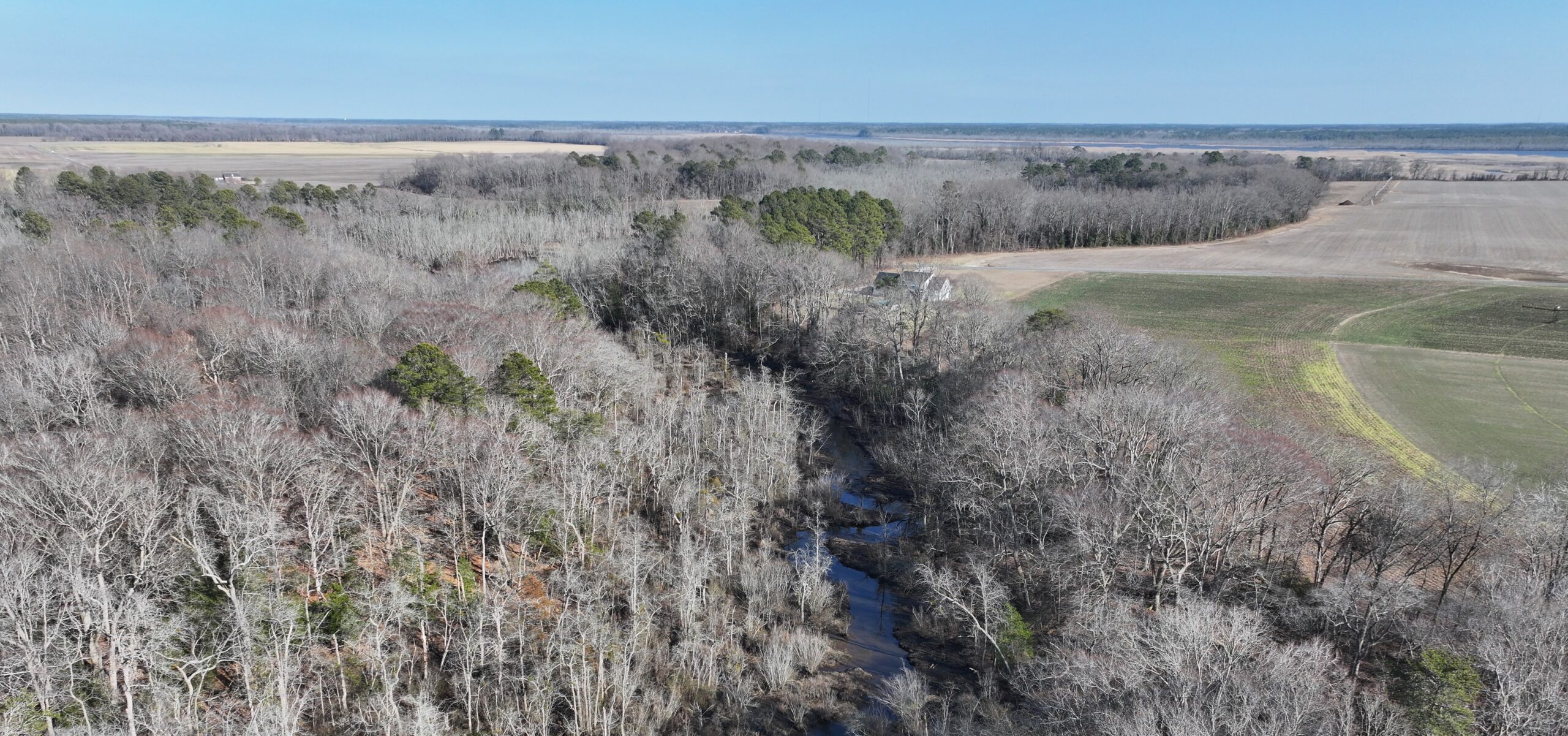 an aerial view of a narrow creek winding through trees towards a body of water in the distance