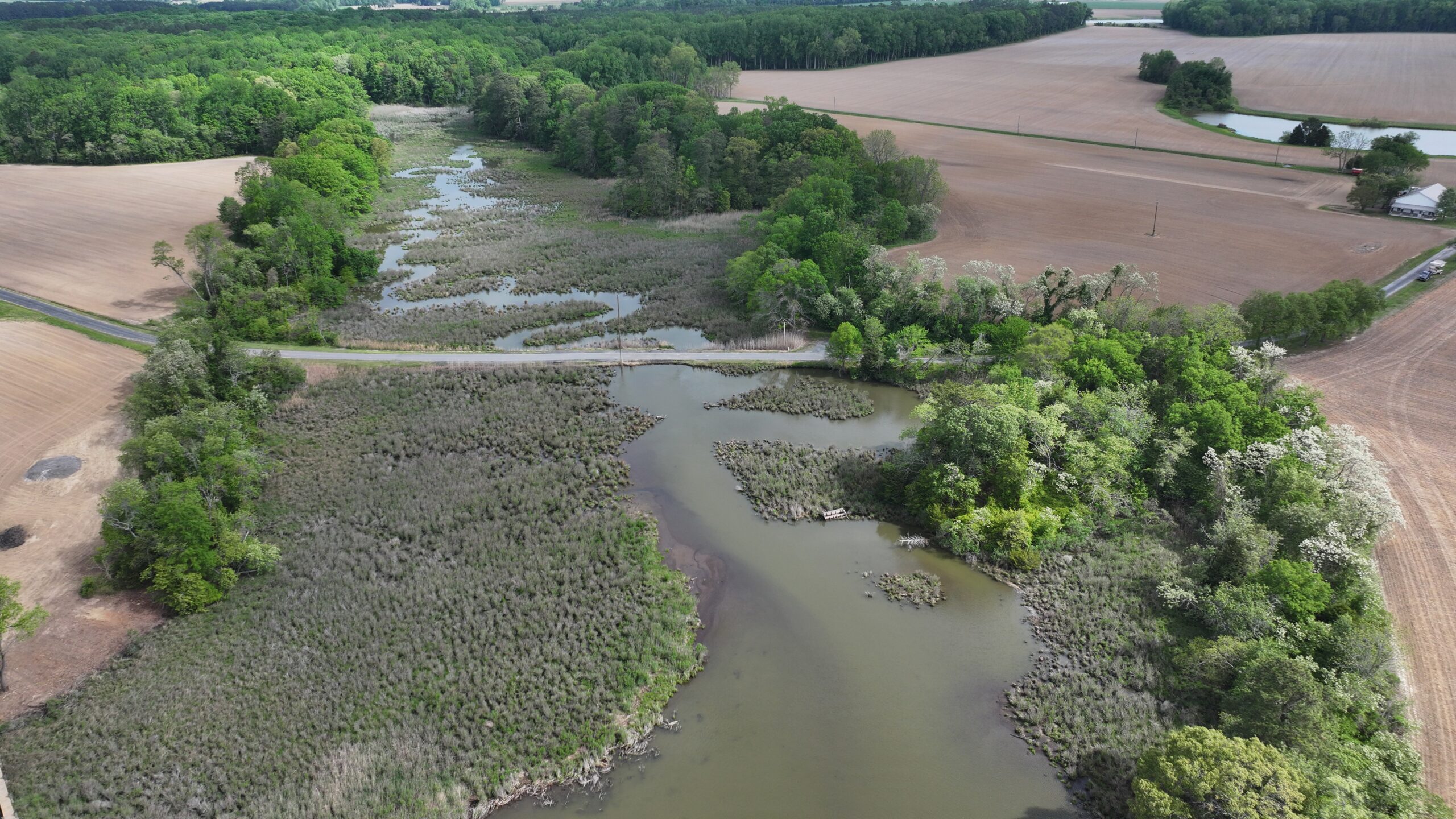 aerial view of a tidal marsh creek surrounded by wetlands, farmlands, and some trees