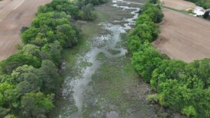 aerial view of a marsh creek surrounded by wetlands and trees