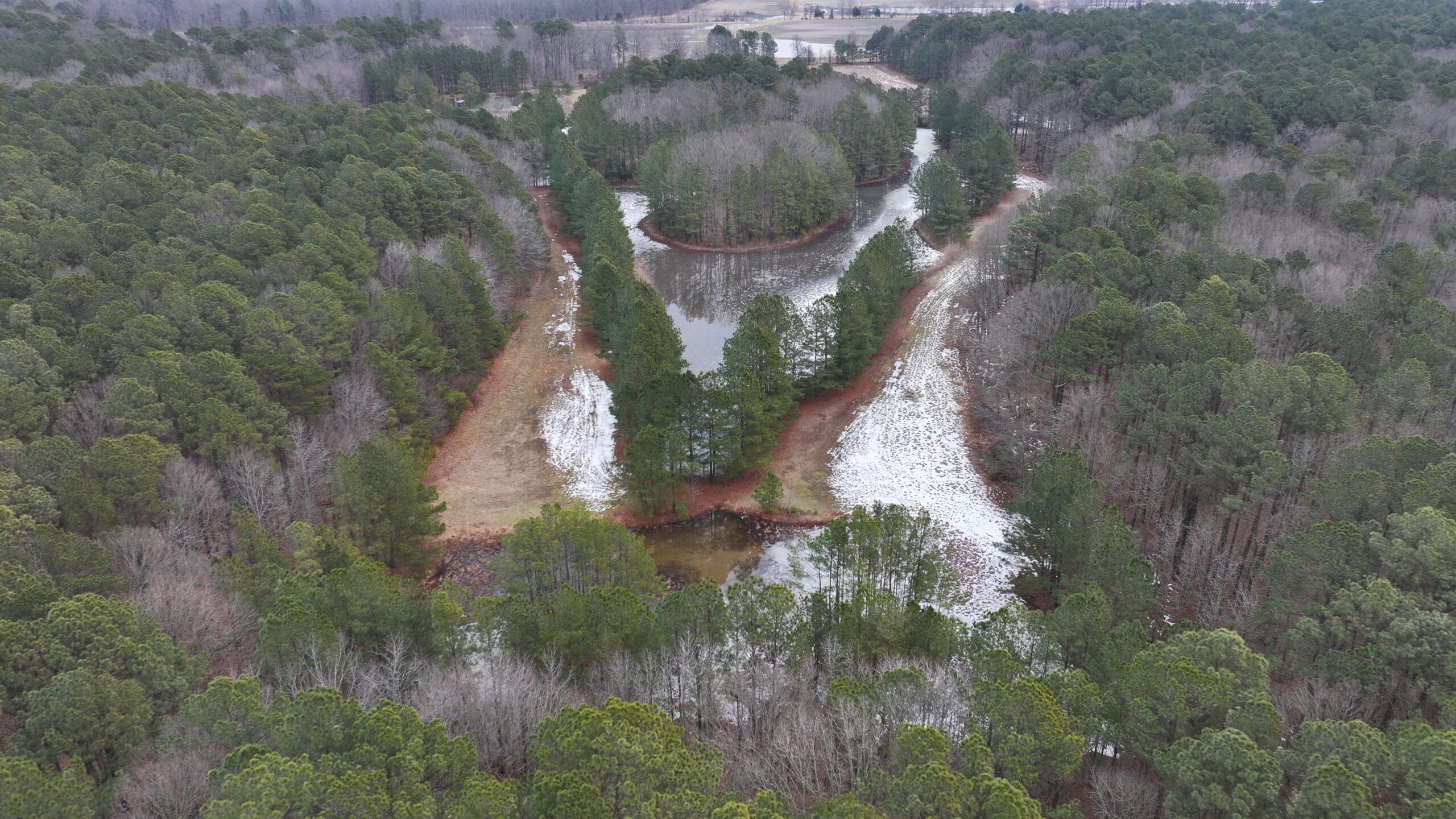 Snow was hardly given time to melt, nor waters time to thaw before our stewards were back on the landscape to keep up with ESLC's monitoring schedule. This 193-acre conservation easement in Talbot County protects farmland, wetland, endangered species habitat, and more than 168 acres of forest.