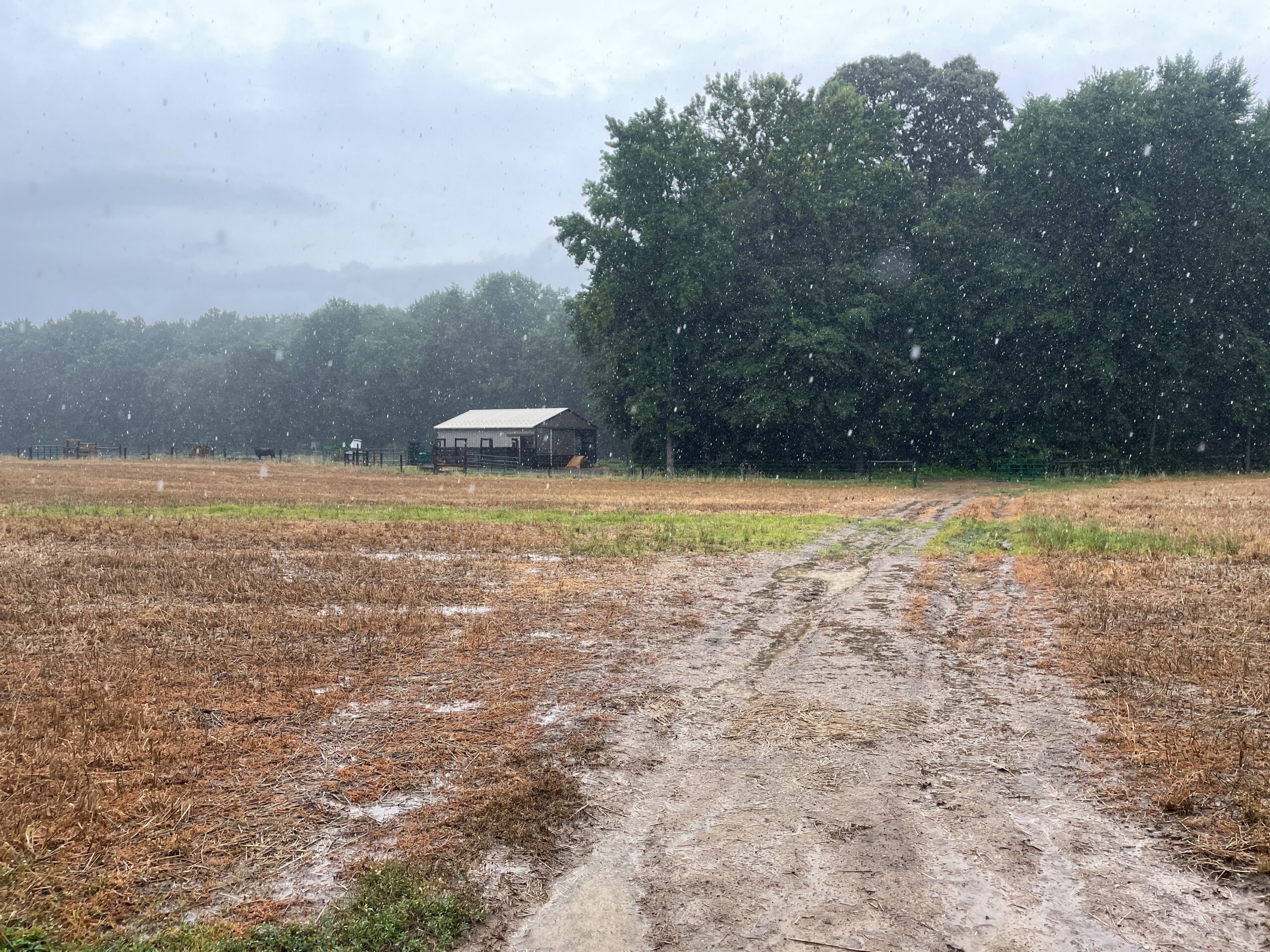 With more properties to visit than there are working days in the year, our stewardship team can’t always afford to be picky with the weather! Raincoats and boots made the best of things at this Cecil County farm, originally protected by ESLC and Herschell B. Claggett, Sr. in 2007.