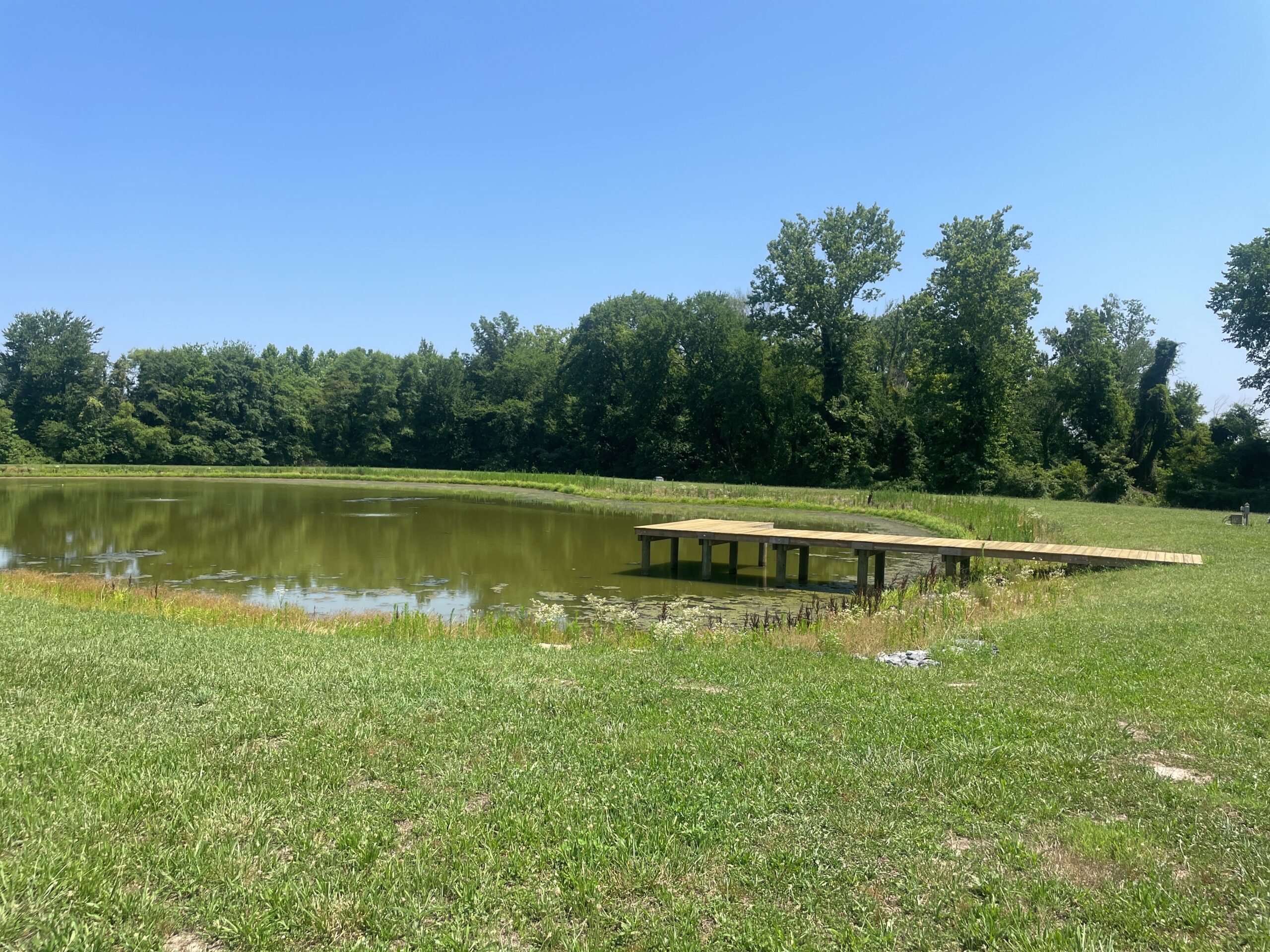 It took a lot of restraint for our stewardship team not to take a dive off the dock on this 100-degree monitoring day in Talbot County! Conserved in 2012, Wootenaux Creek Farm is an important piece of the greenbelt that confines sprawl development around Easton.