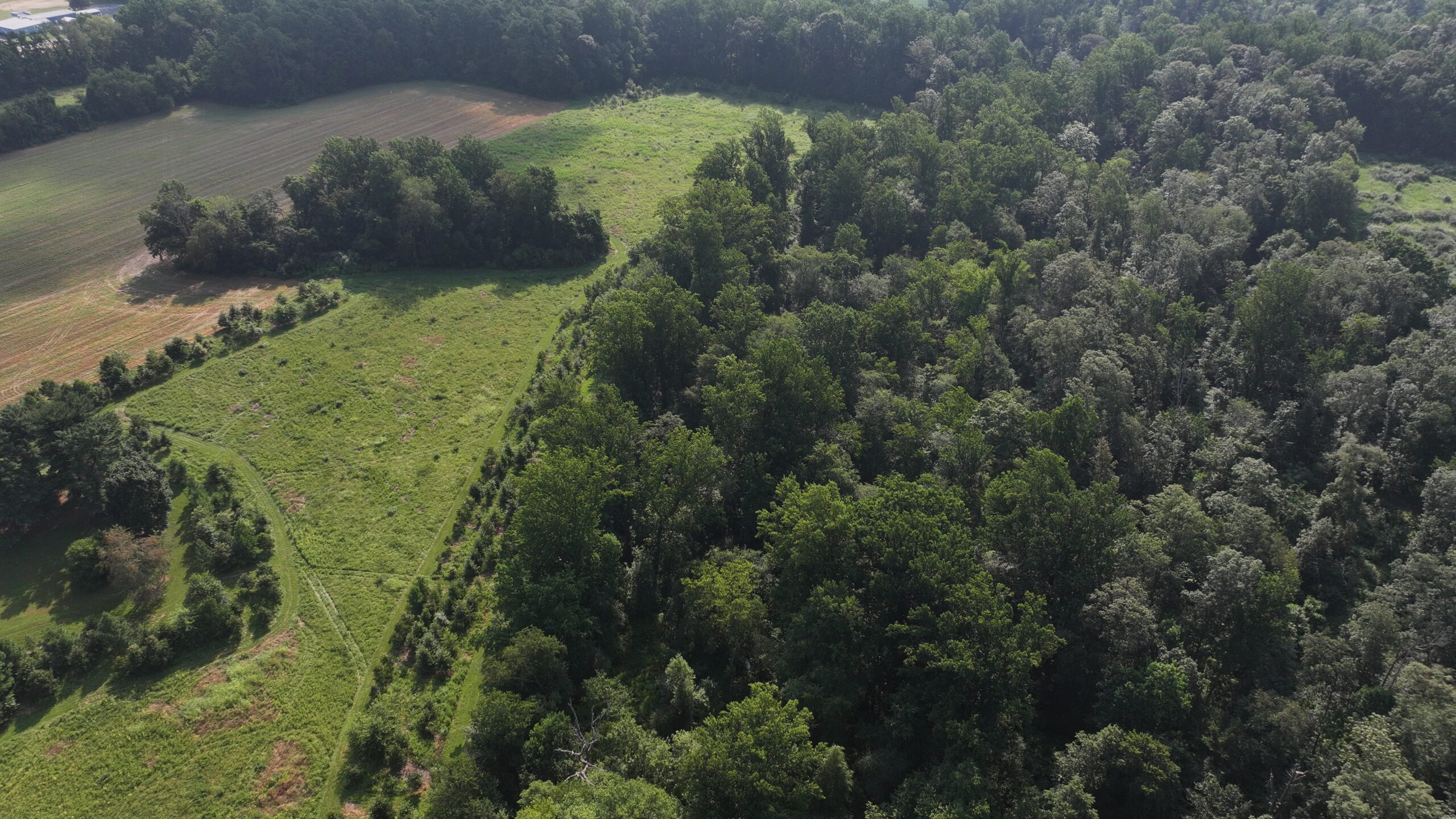 29-acre Herring farm now permanently protected in Kent County, Maryland.