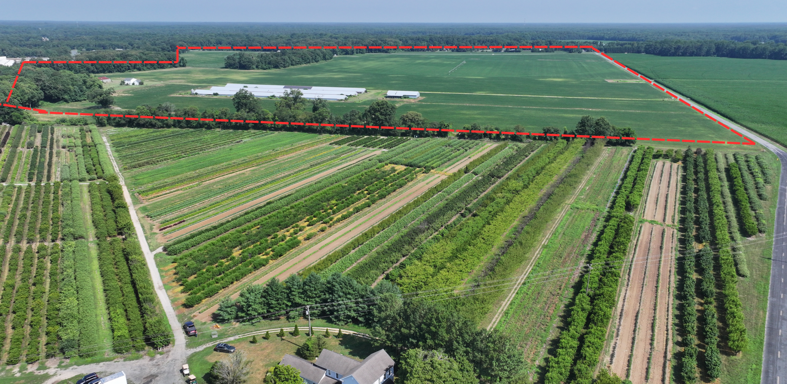 An aerial photo showing just beyond locally owned flower farm Seaberry Farm sits the Federalsburg farm site proposed to become the Eastern Shore's first large-scale data center.