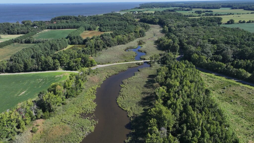 Meadows, forest, and protected shoreline buffer water quality on Tavern Creek.
